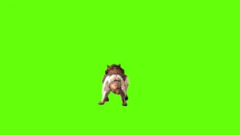 Wolf KT 2  roar green screen animation 3D rendering Stock Footage 287662961