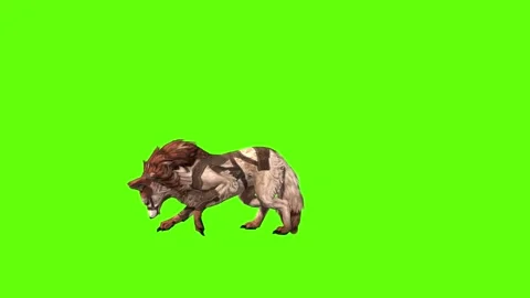 Wolf KT 2  stand digging green screen animation 3D rendering Stock Footage 287663268