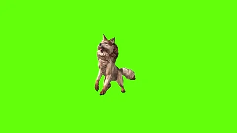 Wolf KT 4 attack  green screen animation 3D rendering Stock Footage 296272340