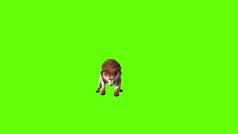 Wolf KT 4 jump attack green screen animation 3D rendering Stock Footage 296272090