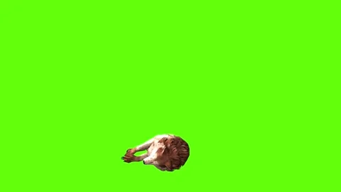 Wolf KT down loop  green screen animation 3D rendering Stock Footage 284897851