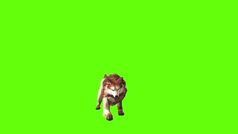 Wolf KT  firing back forward  green screen animation 3D rendering Stock Footage 284896816