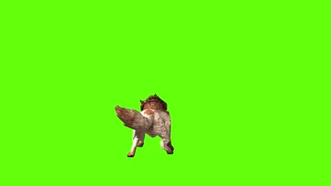 Wolf KT  firing head move  green screen animation 3D rendering Stock Footage 284896951