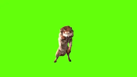 Wolf KT jump attack green screen animation 3D rendering Video stock 284898371
