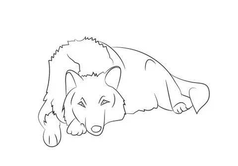 Wolf lies, lines, vector Stock-Illustration