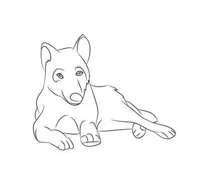 Wolf lies, lines, vector Stock Illustration