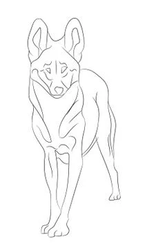 Wolf lines, vector Stock Illustration