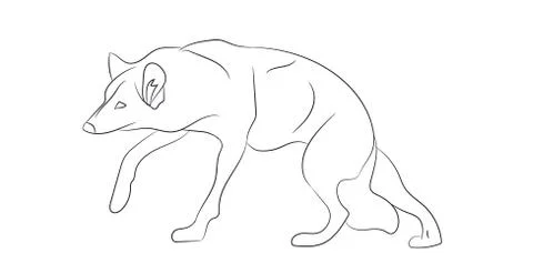 Wolf lines, vector Illustrazione stock