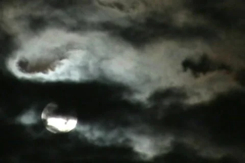 Wolf Moon Stock Footage 669684