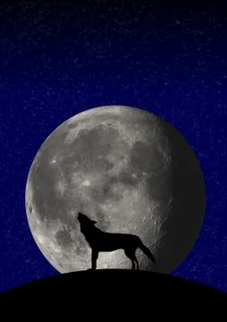 Wolf moon Stock Illustration