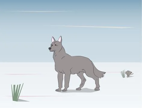 Wolf on nature background Stock-Illustration
