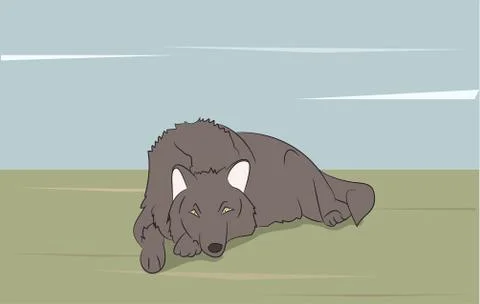 Wolf on nature background Illustrazione stock