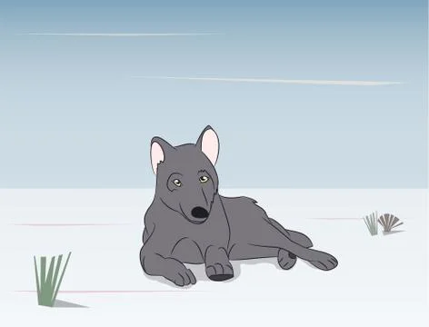Wolf on nature background Stock-Illustration