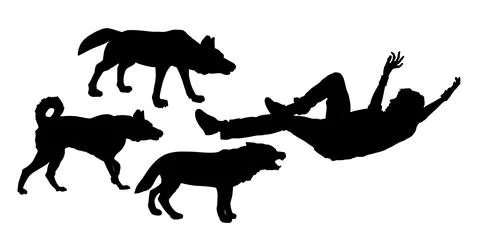 Wolf pack chasing a man fall down on ground vector silhouette 库存插图