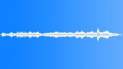 Wolf pack howl 04 Sound Effect