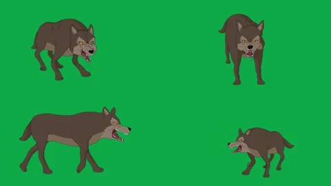 Wolf Pack Wild Predator 2d animated cartoon character on green screen High Stock Footage 334703513