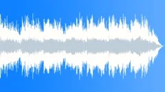 Wolf Party - breakdown no vox (no fills - front sting) Stock Music