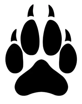 Wolf paw Stock Illustration