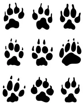 Wolf paw Stock Illustration