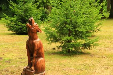 The wolf Stock Photos