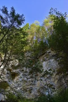 The wolf pit karst sinkhole is one of the largest natural karst sinkholes in  Stock Photos