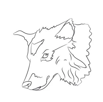 Wolf portrait, lines, vector Illustrazione stock