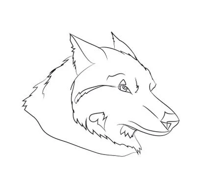 Wolf portrait, lines, vector Illustrazione stock