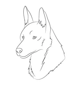 Wolf portrait, lines, vector Stock Illustration