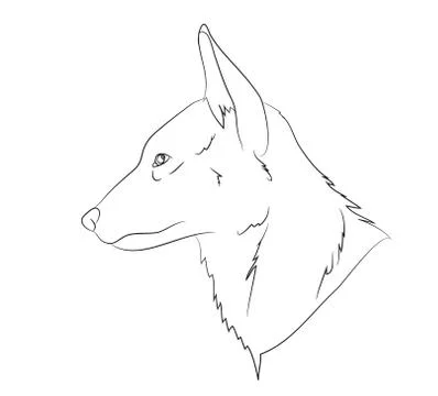 Wolf portrait, lines, vector Illustrazione stock