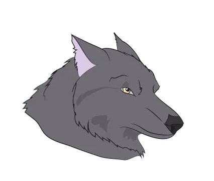 Wolf portrait, vector, Stock-Illustration