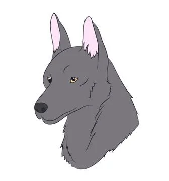 Wolf portrait, vector, Stock Illustration