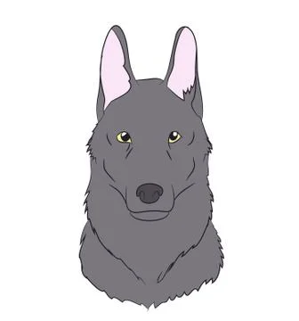 Wolf portrait, vector, Stock Illustration