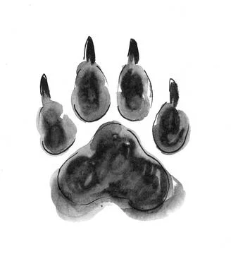 Wolf print Illustrazione stock