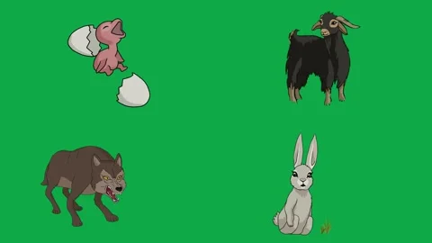 Wolf Rabbit Goat Egg 2d animated cartoon character on green screen High Stock Footage 334703682