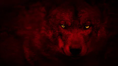 red wolf with yellow eyes