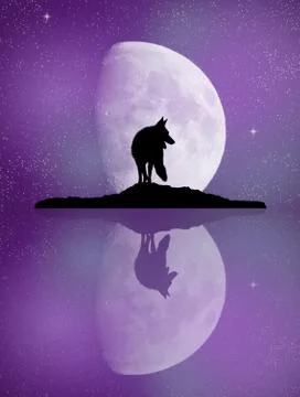 Wolf reflection in the moonlight lake Stock Illustration
