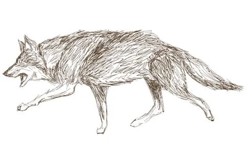 Wolf running sketch icon Stock Illustration