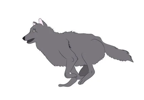 Wolf runs, image color, vector Stock-Illustration
