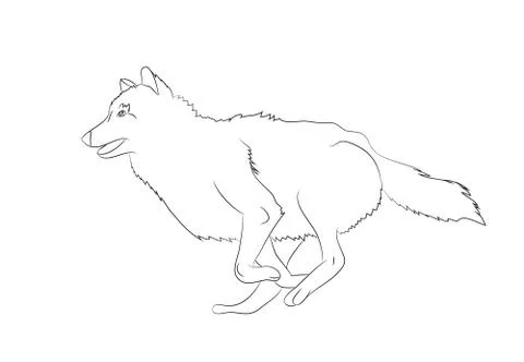 Wolf runs, image lines, vector Stock-Illustration