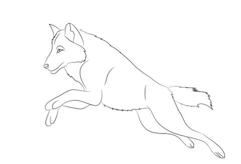 Wolf runs, image lines, vector Stock Illustration