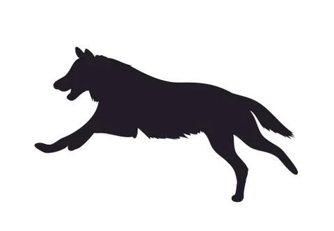 Wolf runs, image silhouette, vector Stock Illustration