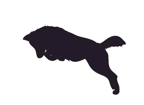 Wolf runs, image silhouette, vector Stock-Illustration