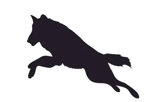 Wolf runs, image silhouette, vector Stock Illustration