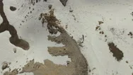 A Wolf Runs In Snowy Mountains. Drone Aerial Vertical Video. Stock Footage