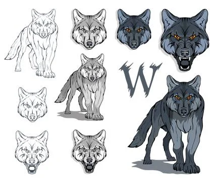 Wolf set, isolated on white background, colour illustration, suitable as logo Stock Illustration