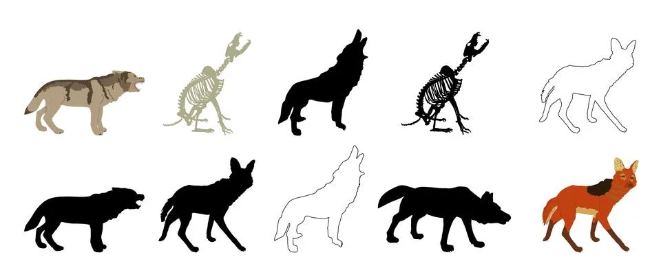 Wolf set line contour skeleton vector silhouette Ilustração Stock