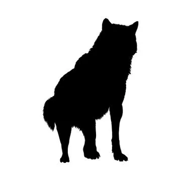 Wolf Silhouette イラスト素材
