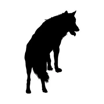 Wolf Silhouette 스톡 일러스트
