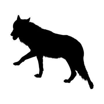 Wolf Silhouette 스톡 일러스트