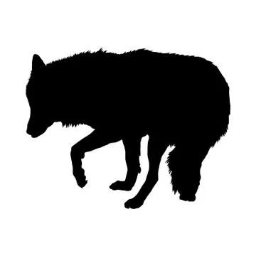 Wolf Silhouette イラスト素材